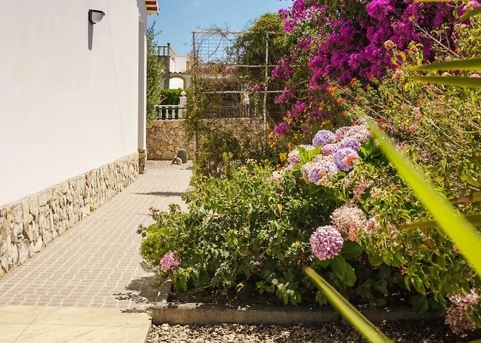 Sunny Ocean With Pool Near Arrifana * アルジェズール