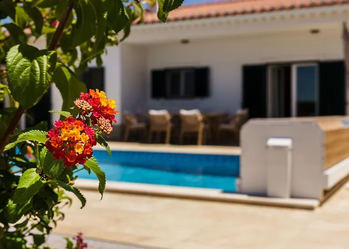 ヴィラ Sunny Ocean With Pool Near Arrifana *