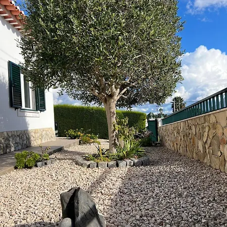 Sunny Ocean With Pool Near Arrifana Villa Aljezur
