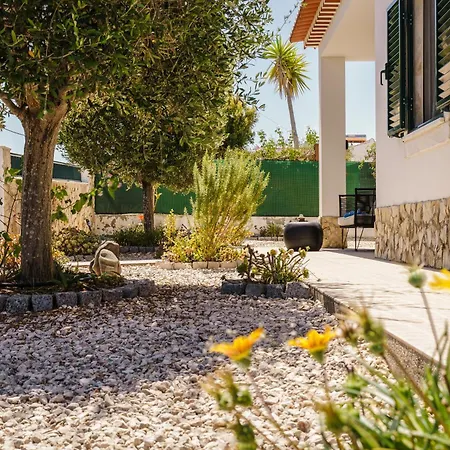 Villa Sunny Ocean With Pool Near Monte Clérigo *